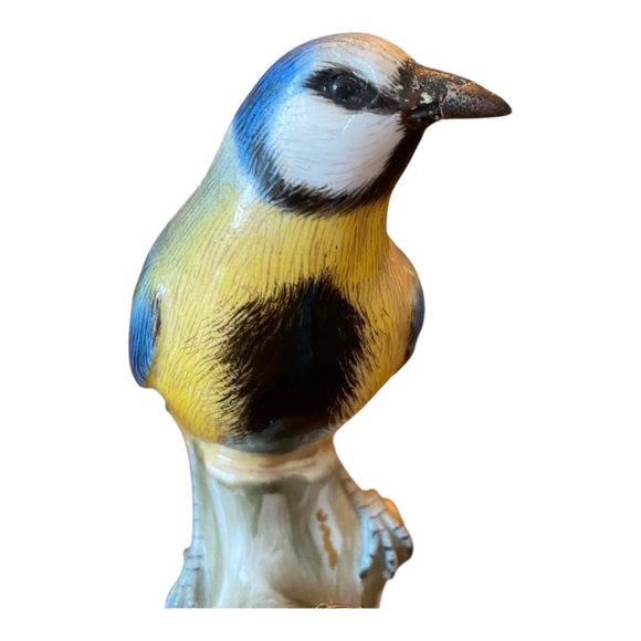 Antique 1700s - 1800s Meissen Eurasian Blue Tit Bird. Rare - Picture 9 of 13